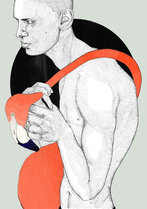 Aks illustration work